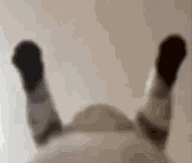 Користувач KaKyia11112010