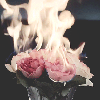 Пользователь AlinaMur