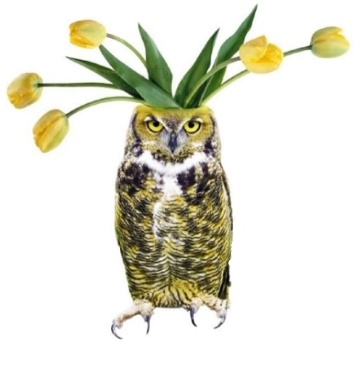 Пользователь Bryte