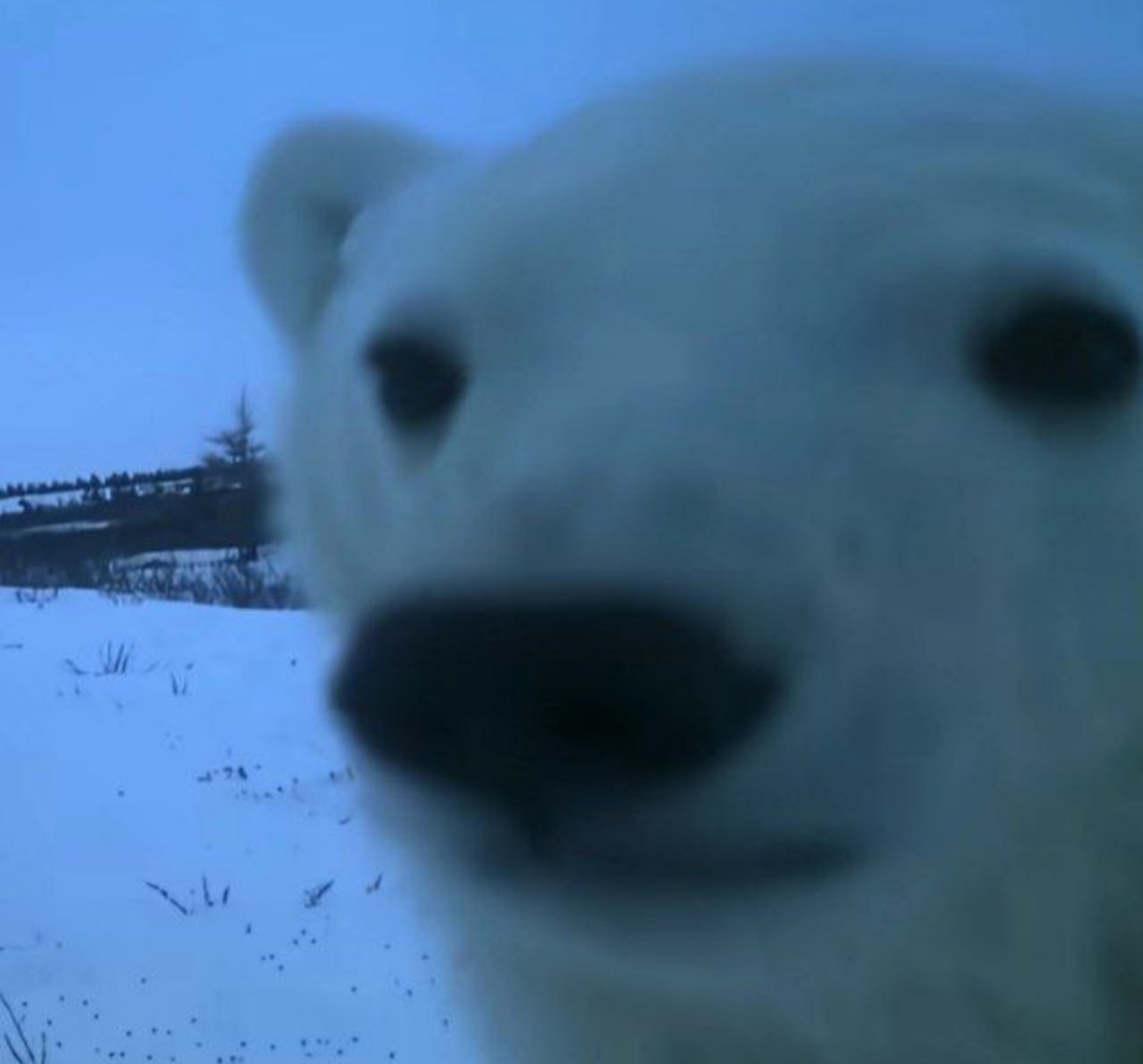 пропали ресурсы из инвентаря 