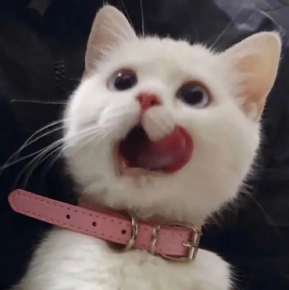 Користувач wockwod