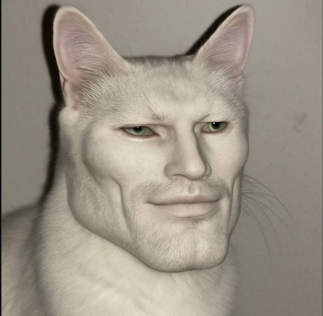 Користувач Serega_Kot_