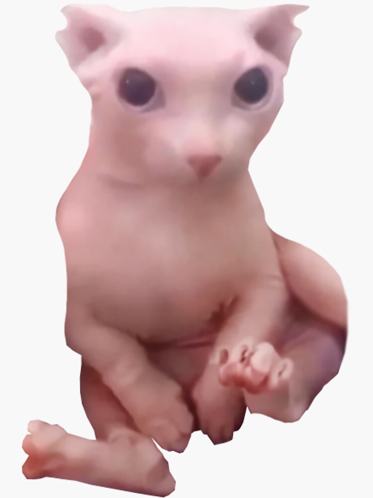 Пользователь a12345