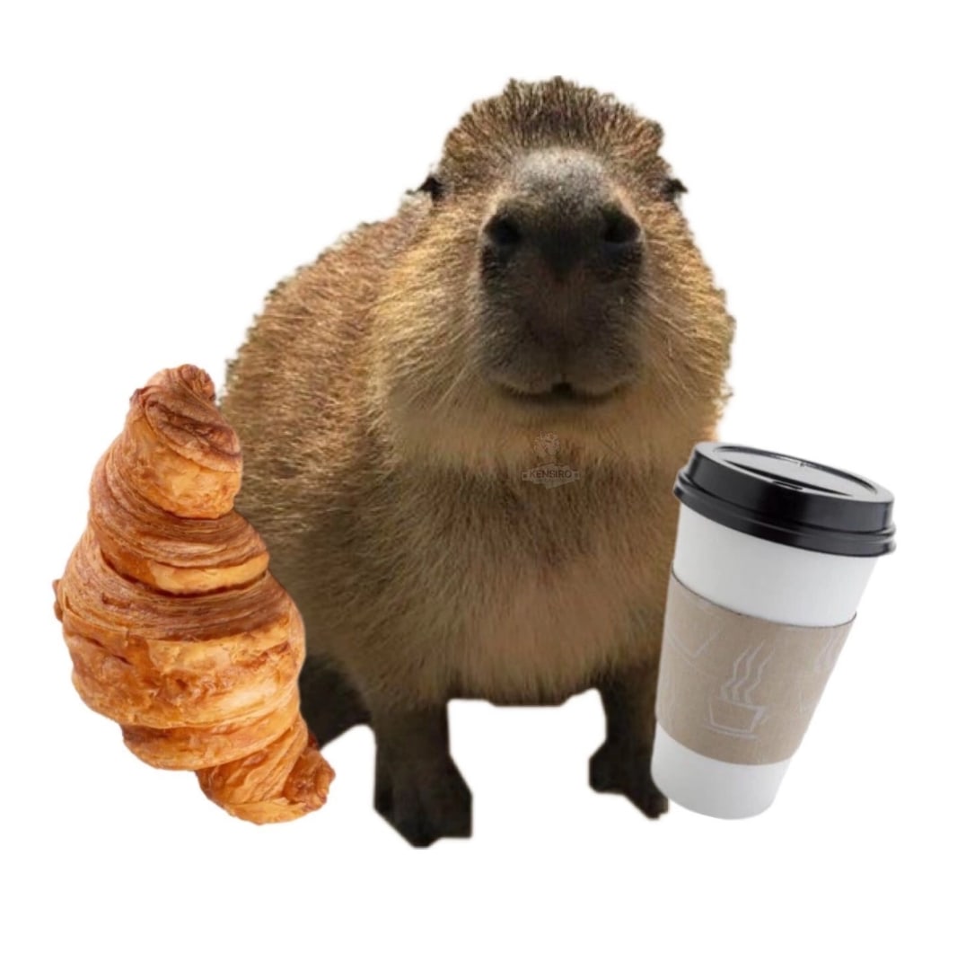 Пользователь Not0your0level