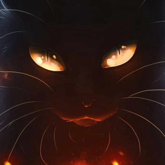 Пользователь KrongDavaeshpir