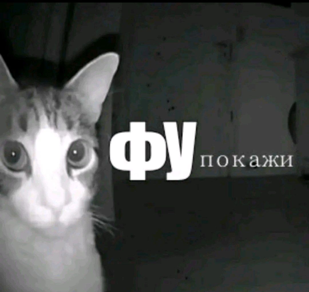 Создатель темы Hocist