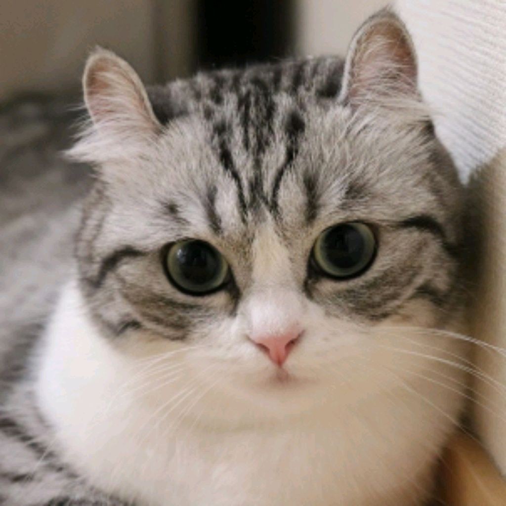 Создатель темы saSHapak