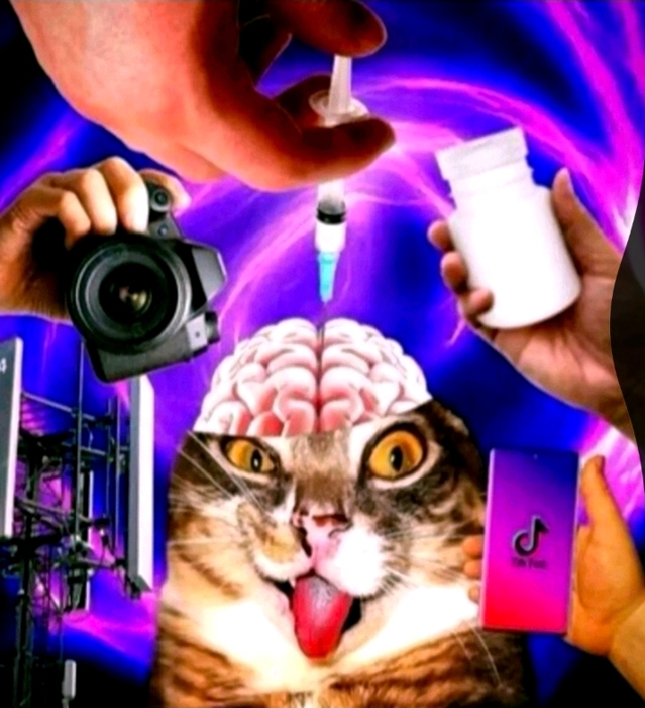 Создатель темы Vik3or820