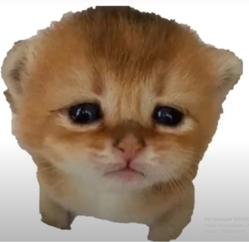 Автор теми simba_UWU