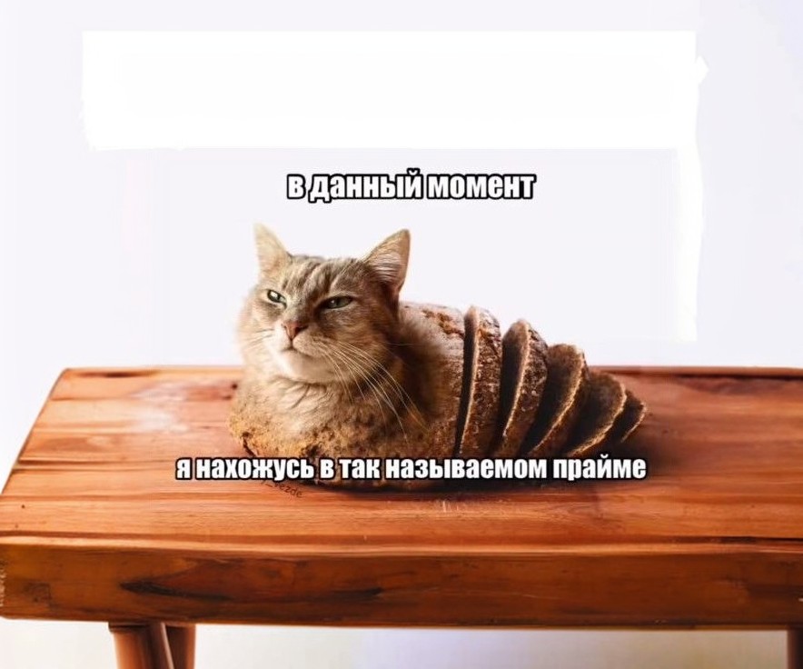 Создатель темы CTapbl6ox