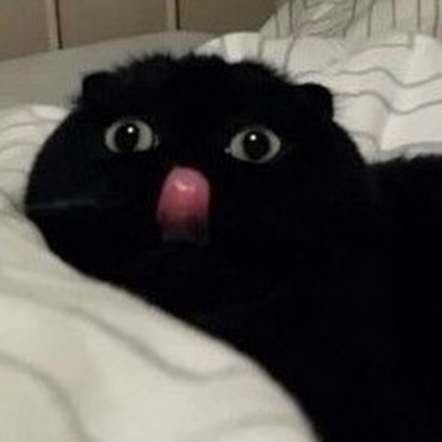 Мгновенная смерть в драконике