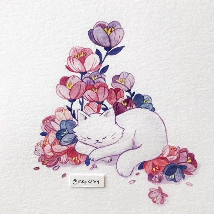 Пользователь Rinoshi