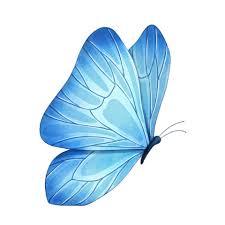 Пользователь butterfly228