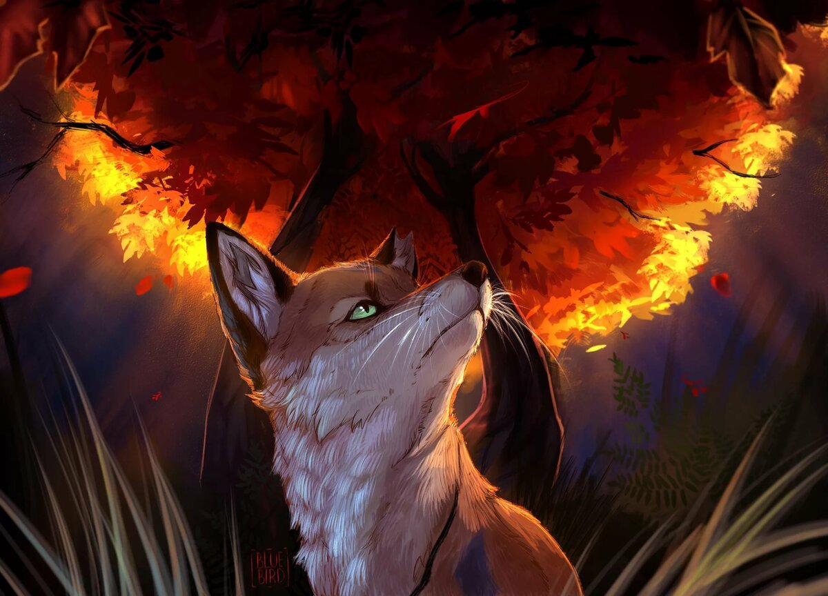 Создатель темы Foxurlka
