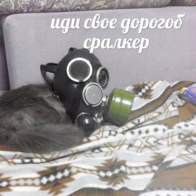 Создатель темы Kotzilla_