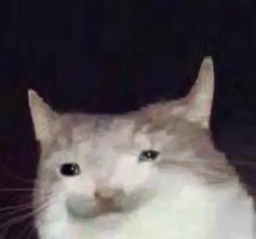 Penkva