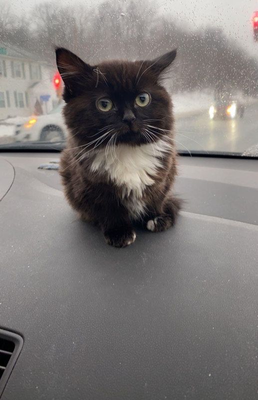 Создатель темы ALMAZZZ1K