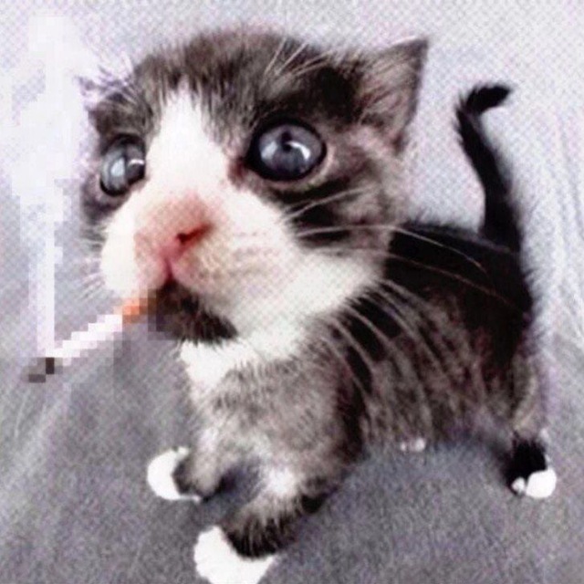 Автор теми memnyx