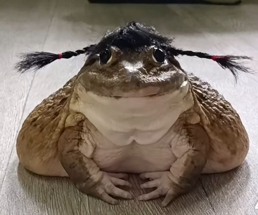 Создатель темы AdelRow