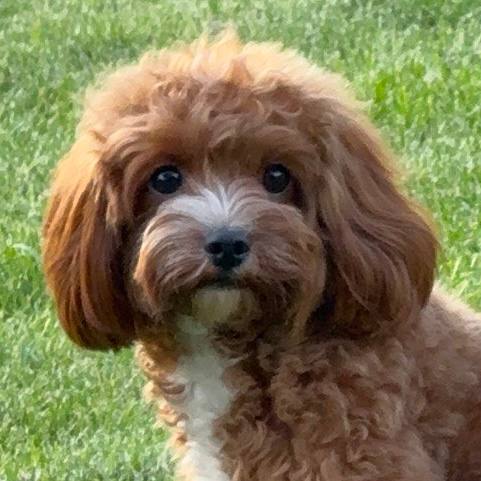 Пользователь ManilaOfficial