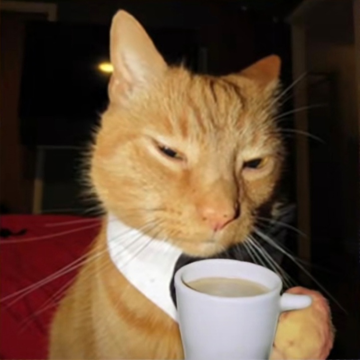 Создатель темы Rorhor