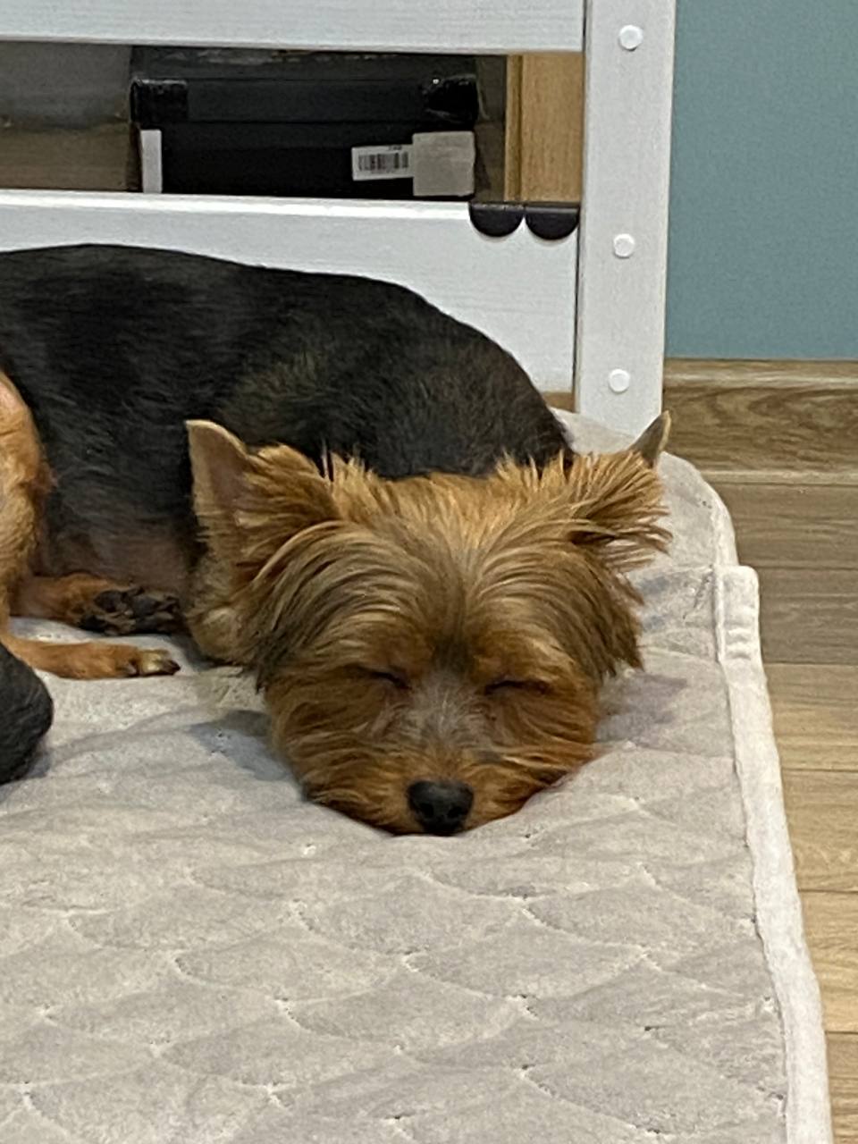 Пользователь Myved185