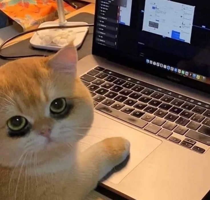 Theme author Shikotara