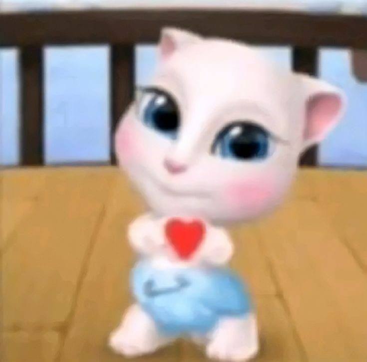 Użytkownik Suodottore