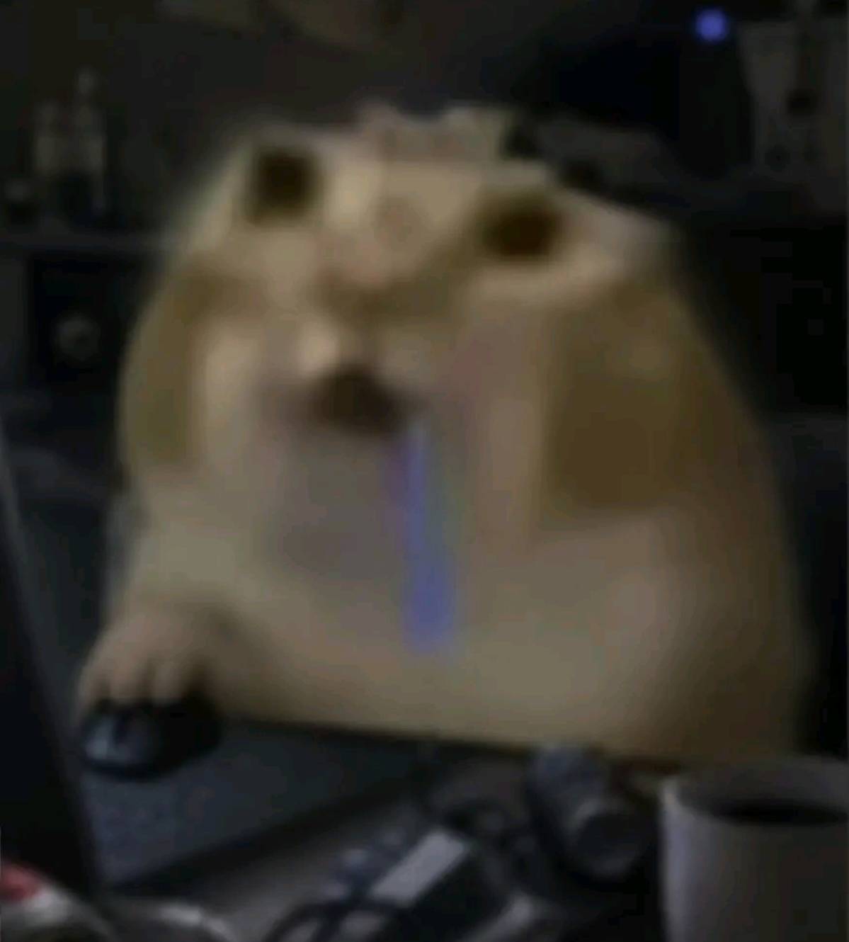Users pierrotw