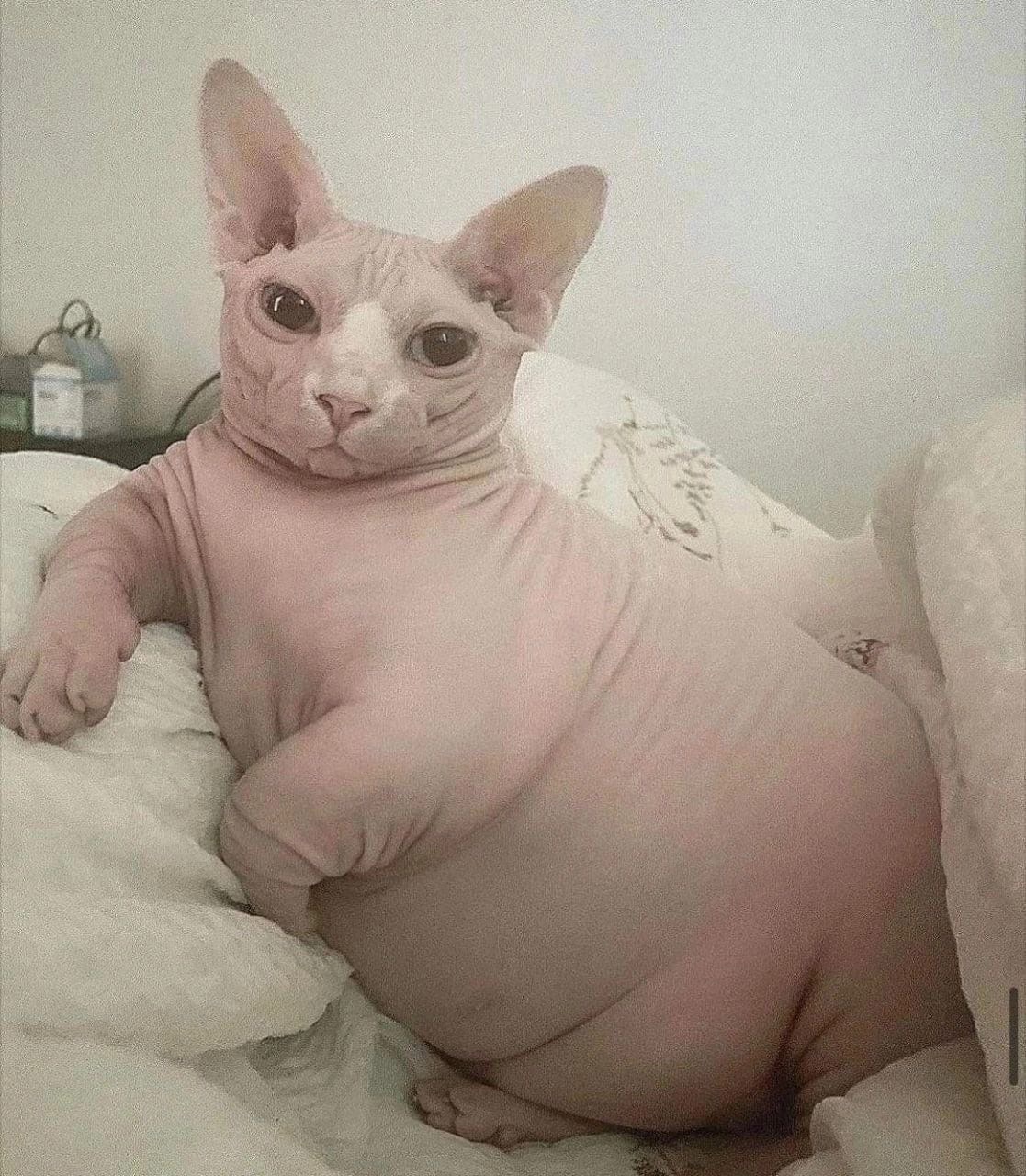 Користувач mivinka