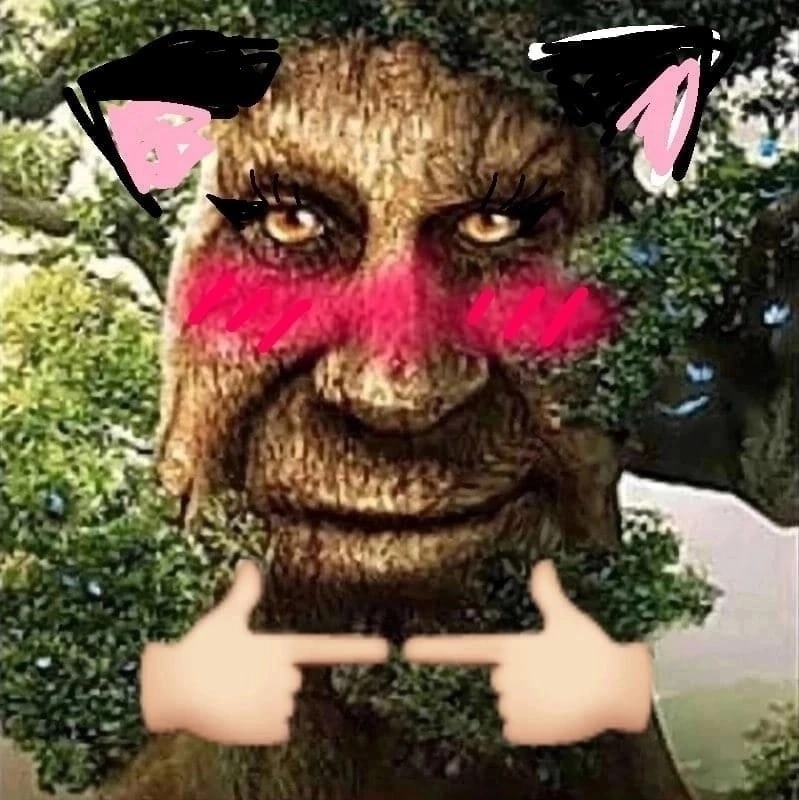 Пользователь Lineraser