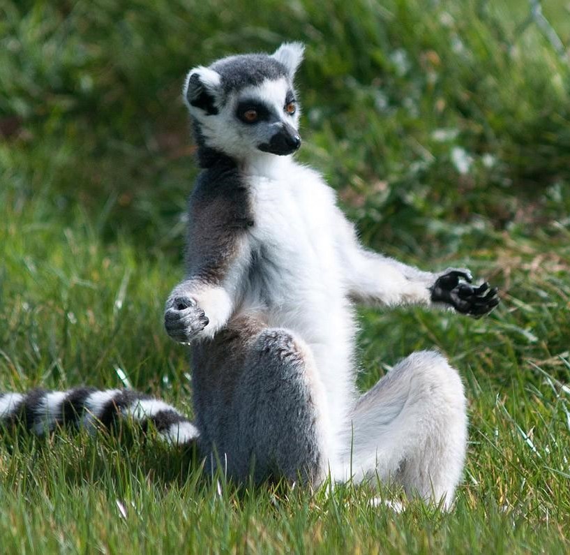 Пользователь connect