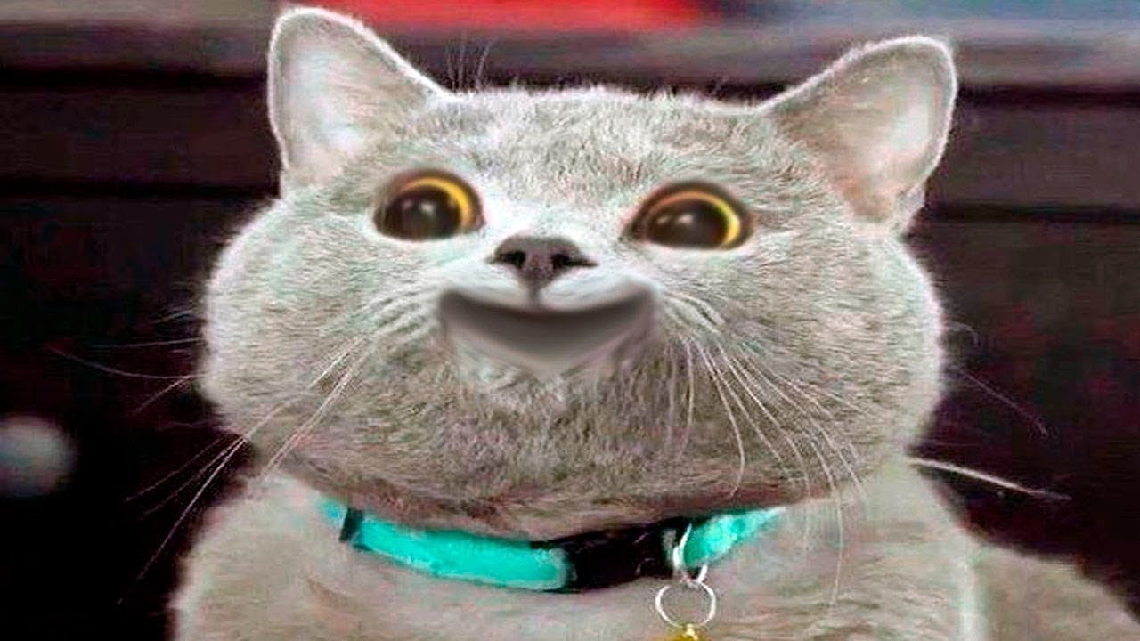 Користувач Stanislausss