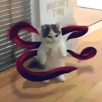 Пользователь troika40